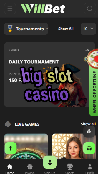 Big Slot Casino - Largest Slot Collection-casinocasi.ydblkf.net
